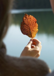 A woman's midlife crisis can be a challenge