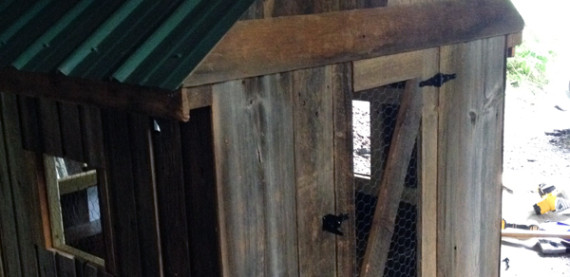 Pam's chicken coop!